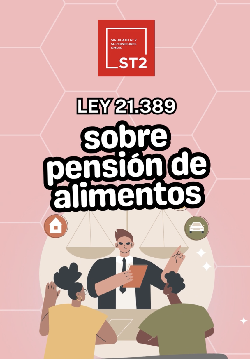 En este momento estás viendo ¿Conoces la Ley 21.389: Regulación en el pago de pensiones de alimentos?