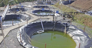 Lee más sobre el artículo Aclara cede derechos de aguas y lanza cosecha circular de minerales en Penco